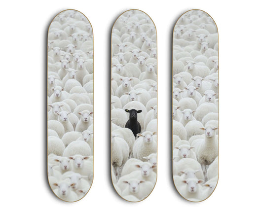 BLACK SHEEP